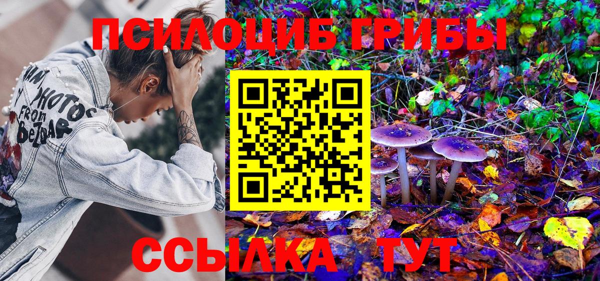 Тамбов  где купить наркоту  Вход с VPN  Галлюциногенные грибы Psilocybe 
